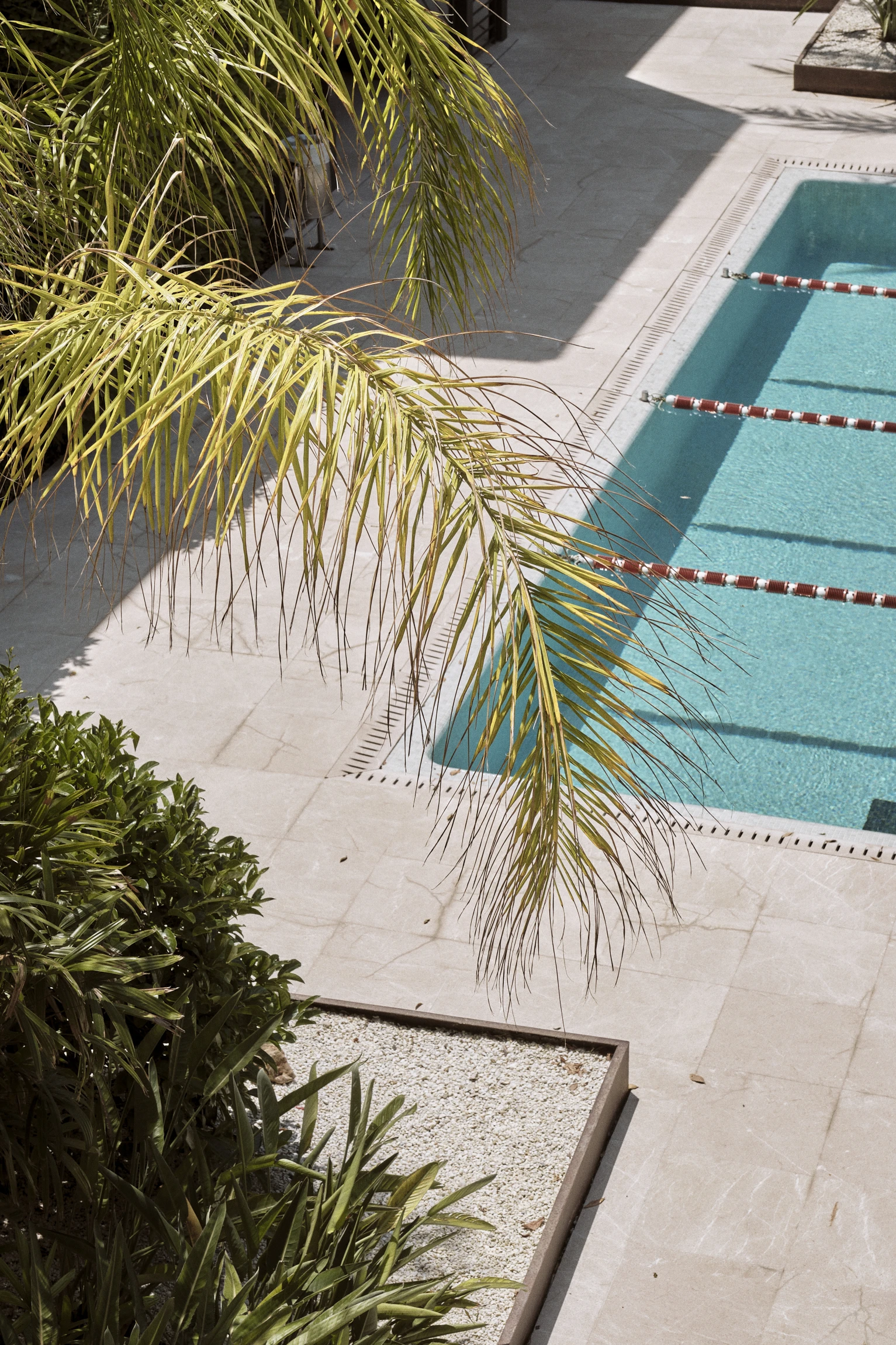 Las Gaviotas Suites Hotel