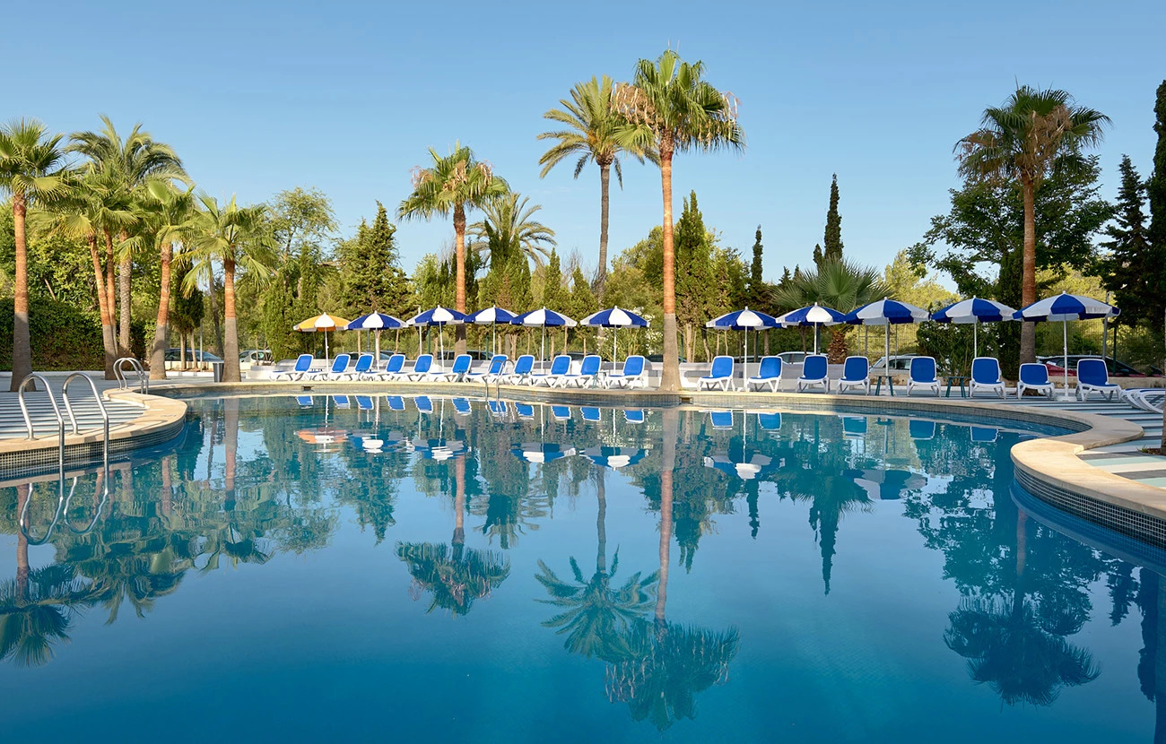 Tent Mojito Suites